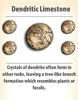Dendritic Limestone
